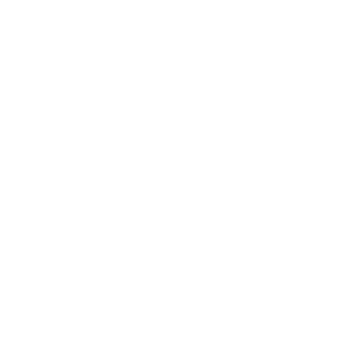 Transporteur France Tunisie : Transport de bagages et marchandises